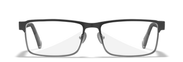 [Matte Silver with Black Temples/Clear]