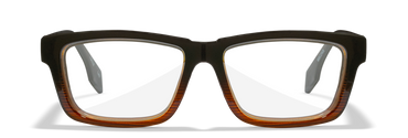 [Gloss Black To Brown Stripe/Clear]