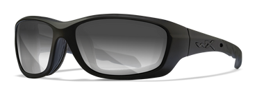 [Matte Black/Photochromic Smoke Grey]