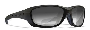 [Matte Black/Photochromic Smoke Grey]
