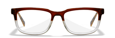 [Gloss Brown/Clear]