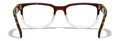 Gloss Brown/Clear