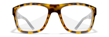 [Gloss Brown Demi/Clear]