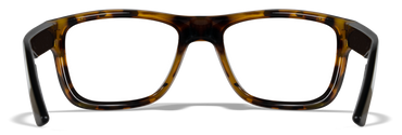 [Gloss Brown Demi/Clear]