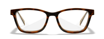 [Gloss Brown Demi/Clear]