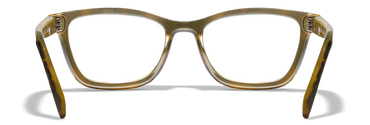 [Gloss Brown Demi/Clear]