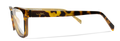 Gloss Brown Demi/Clear