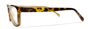 [Gloss Brown Demi/Clear]