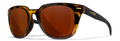 Gloss Demi/CAPTIVATE™ Polarized Copper