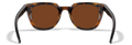 Gloss Demi/CAPTIVATE™ Polarized Copper