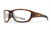 [Gloss Tortoise Frame]