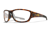 [Gloss Tortoise Frame]